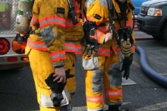 BPS_20120129_00032a