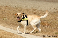 Search&Rescue-HorseShoeRd_0007