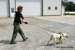 Search&Rescue-HorseShoeRd_0018