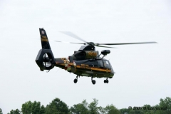 Rt309PIdeer_0015